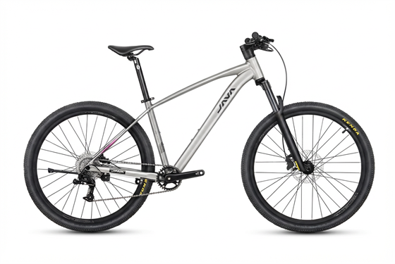 Java BREZZA/9S 27.5*17in21275 8MKXgPgIgHecg5JYPqL1H0